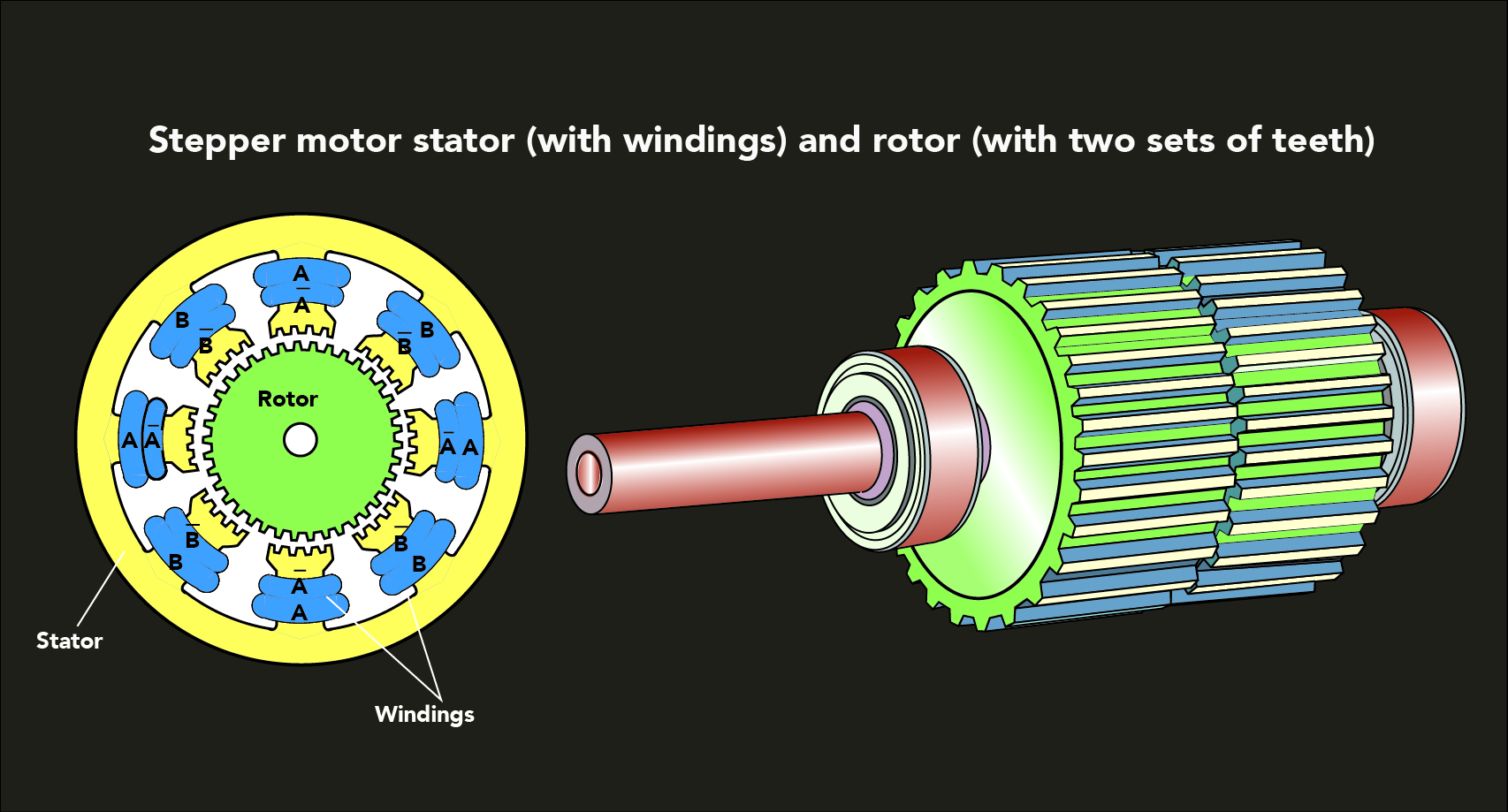 How does the number of stator phases affect stepper motor performance?
