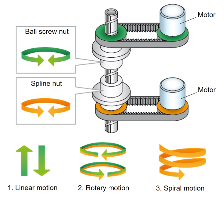 ball screw spline