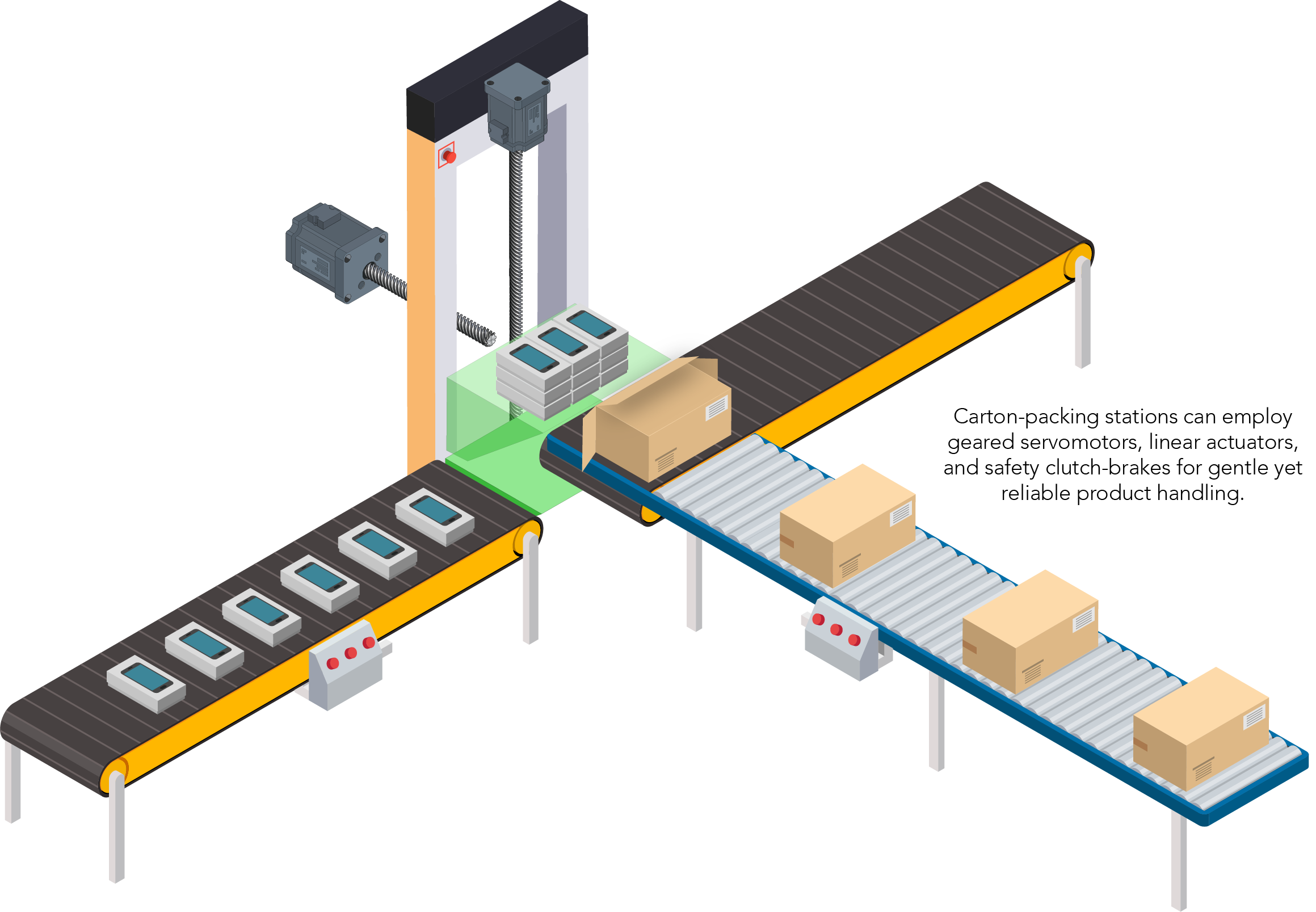 Packaging focus: Carton making and packing operations